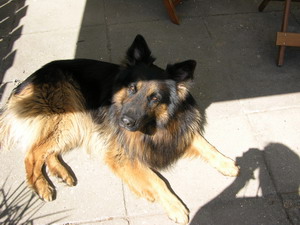 12 mei 2008 