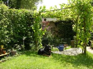21 juni 2008
