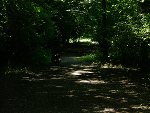24 juni 2008